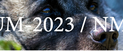 UM Løshund 2023